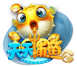 自2022年欧冠负皇马后，曼城在罗德里出战的27场国际赛事中不败